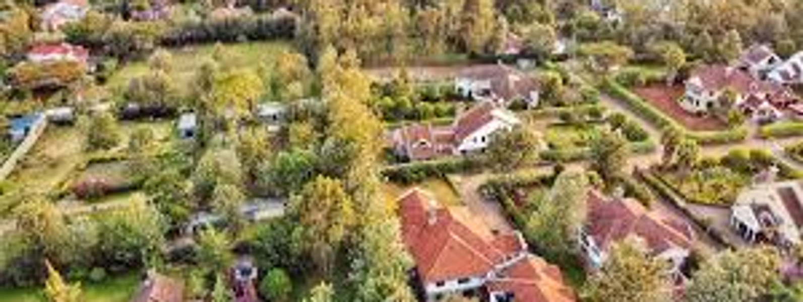 HARDY | KAREN'S QUIET PREMIUM NEIGHBOUR