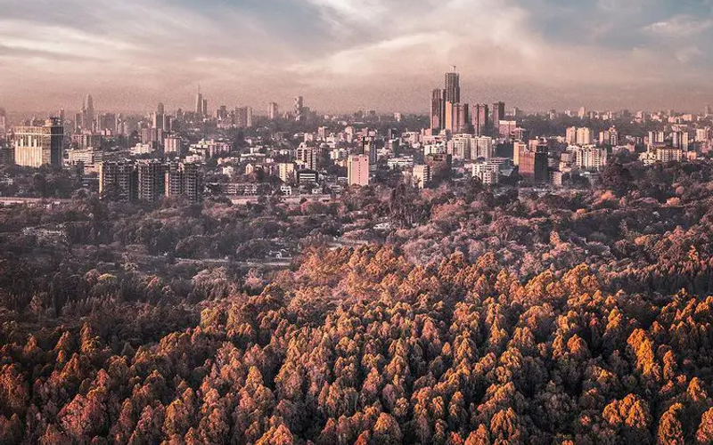 PARKLANDS & KARURA | NAIROBI'S GREEN DIPLOMATIC CORRIDOR