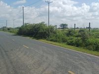 Prime Residential Oasis: 5 Bedroom All Ensuite Bungalow on 1.01 Acres, Ngata, Nakuru - Image 10