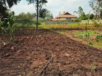 🏫 INVESTMENT OPPORTUNITY | ESTABLISHED SCHOOL FOR SALE – THOME ESTATE, NAIROBI - Image 6