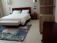 Luxury 4 bedroom furnished penthouse for rent oak and ivy - Image 6