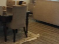 FOR RENT | Executive 5-Bedroom Duplex Apartment – Parklands, Nairobi - Image 11