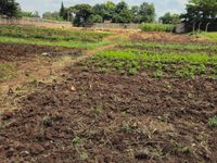 🏫 INVESTMENT OPPORTUNITY | ESTABLISHED SCHOOL FOR SALE – THOME ESTATE, NAIROBI - Image 9
