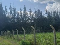 Prime Residential Oasis: 5 Bedroom All Ensuite Bungalow on 1.01 Acres, Ngata, Nakuru - Image 7