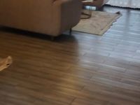 FOR RENT | Executive 5-Bedroom Duplex Apartment – Parklands, Nairobi - Image 13