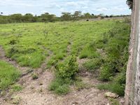  Plots for Sale in Kitengela — Wood Park Safari GardensFor Sale | KSh 2,500,000 Per Plot | 36 Plots Available | Kimalat, Kitengela - Image 3