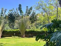 Ambassadorial 5 Bedroom Villa for Rent in Lower Kabete – Heliconia Water Gardens | $5,000/Month - Image 16