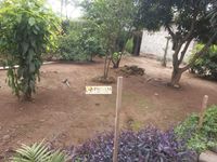 FOR SALE: 5-Bedroom Freehold Estate | KES 65,000,000 | Ole Kasasi, Nairobi - Image 8