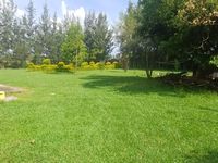 Prime Residential Oasis: 5 Bedroom All Ensuite Bungalow on 1.01 Acres, Ngata, Nakuru - Image 4