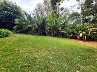  EXECUTIVE RESIDENCE TO LET | ROSSLYN LONE TREE - Image 9