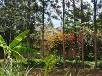 5 Bedroom All Ensuite Mansion for Sale in Maranda, Bondo – 1.25 Acre Prime Property Near Lake Victoria | KES 30M - Image 9