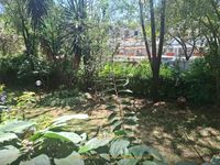 TO LET | RIVERSIDE DRIVE  3-Bedroom + SQ | 3,200 Sq Ft | Nature Meets Luxury |KSH. 250,000 - Image 20