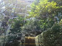 TO LET | RIVERSIDE DRIVE  3-Bedroom + SQ | 3,200 Sq Ft | Nature Meets Luxury |KSH. 250,000 - Image 2