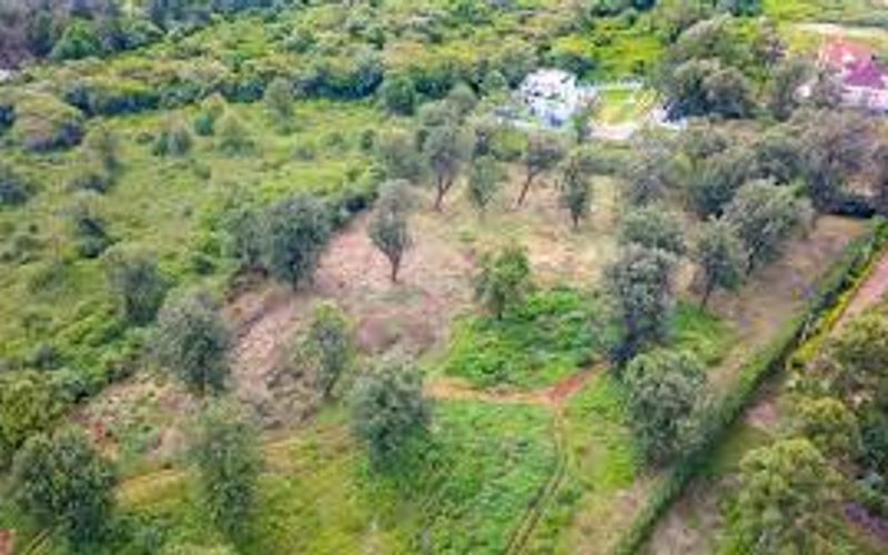 KYUNA | NAIROBI'S MOST PRIVATE WESTSIDE ADDRESS