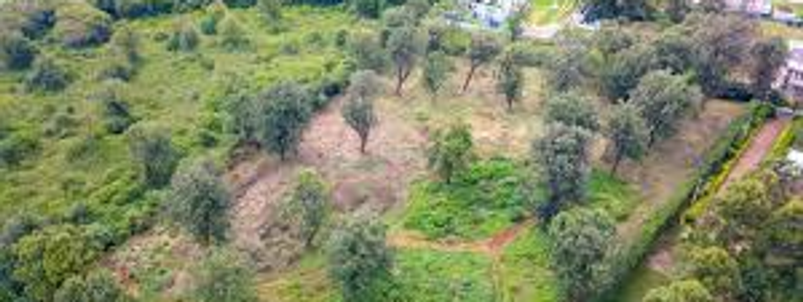 KYUNA | NAIROBI'S MOST PRIVATE WESTSIDE ADDRESS