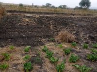 Prime 50 × 100 Plots for Sale – Malaa - Image 3