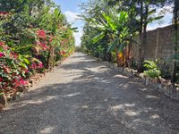 Tender View Resort: Premier Boutique Hotel Investment Opportunity in Kitengela, Kenya - Image 21