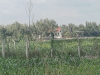 Prime Residential Oasis: 5 Bedroom All Ensuite Bungalow on 1.01 Acres, Ngata, Nakuru - Image 9
