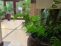 🏡 3-Bedroom Apartments to Let pLUS DSQ– Rhapta Road, Westlands - Image 9