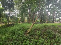 1ACRE PRIME LAND FOR SALE | OLD MUTHAIGA, NAIROBI 🏡 - Image 2