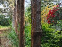 5 Bedroom All Ensuite Mansion for Sale in Maranda, Bondo – 1.25 Acre Prime Property Near Lake Victoria | KES 30M - Image 22