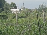 Prime Residential Oasis: 5 Bedroom All Ensuite Bungalow on 1.01 Acres, Ngata, Nakuru - Image 5