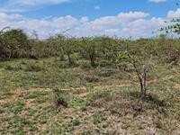 Commercial & Industrial Plots for Lease in Athi River, Machakos County - Image 5