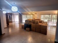  TO LET | ROSSYLN LONE TREE - Image 8