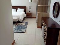 Luxury 4 bedroom furnished penthouse for rent oak and ivy - Image 9