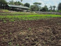 🏫 INVESTMENT OPPORTUNITY | ESTABLISHED SCHOOL FOR SALE – THOME ESTATE, NAIROBI - Image 7