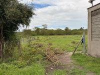  Plots for Sale in Kitengela — Wood Park Safari GardensFor Sale | KSh 2,500,000 Per Plot | 36 Plots Available | Kimalat, Kitengela - Image 4