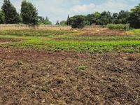 🏫 INVESTMENT OPPORTUNITY | ESTABLISHED SCHOOL FOR SALE – THOME ESTATE, NAIROBI - Image 11