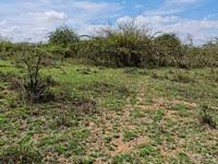 Commercial & Industrial Plots for Lease in Athi River, Machakos County - Image 6