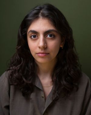 Banafsheh Hassani بنفشه حسنی