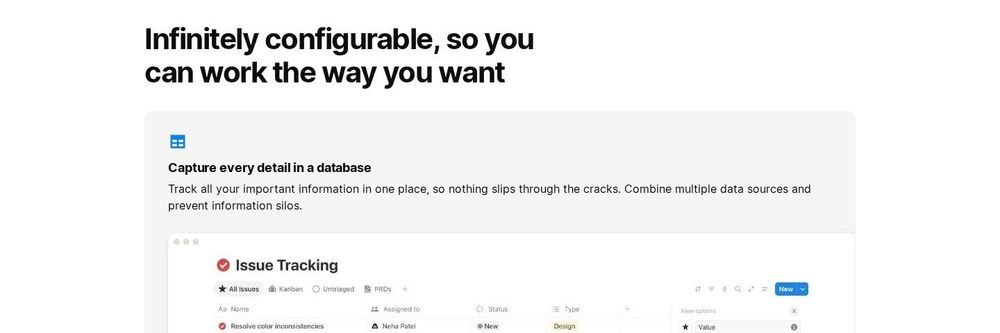 Notion projects database with issue tracking view