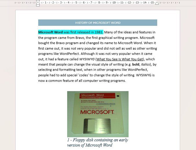 Microsoft Word document editing interface