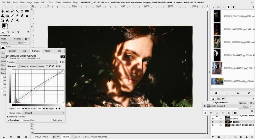 GIMP raster editor UI with non-destructive editing example GIMP raster editor UI with non-destructive editing example