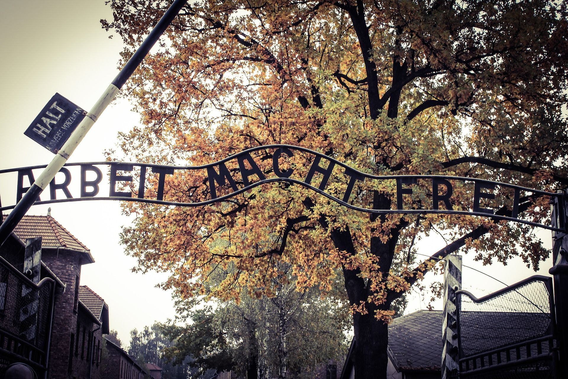Auschwitz + Birkenau – wycieczka w głąb historii