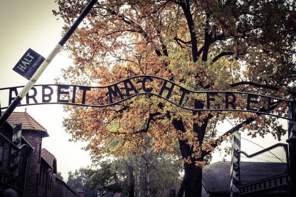 Auschwitz + Birkenau – wycieczka w głąb historii