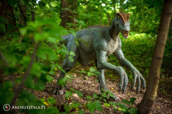 Wycieczka do Dinozatorlandu