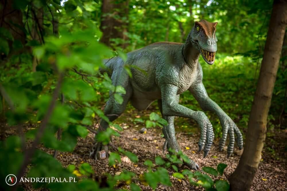Wycieczka do Dinozatorlandu