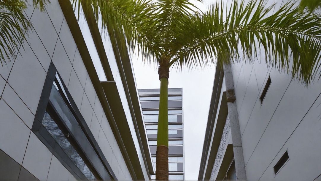 Edifício Bayer - Retrofit galeria 1