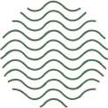 Thrive Fertility IVF logo