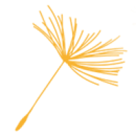 Fertility Center of Oregon logo
