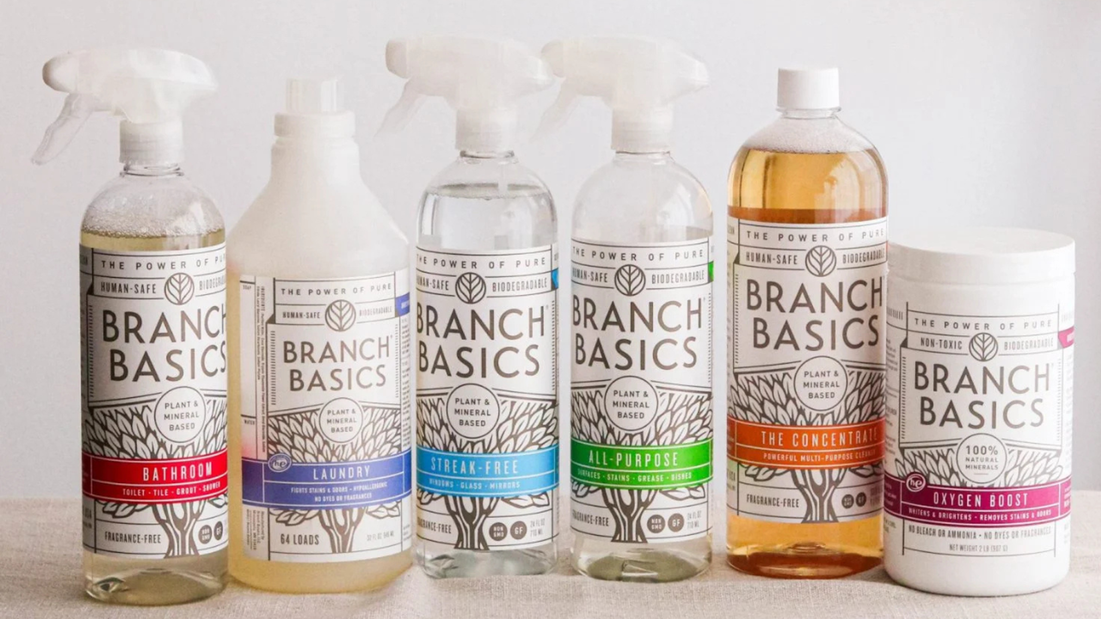 Branch Basics