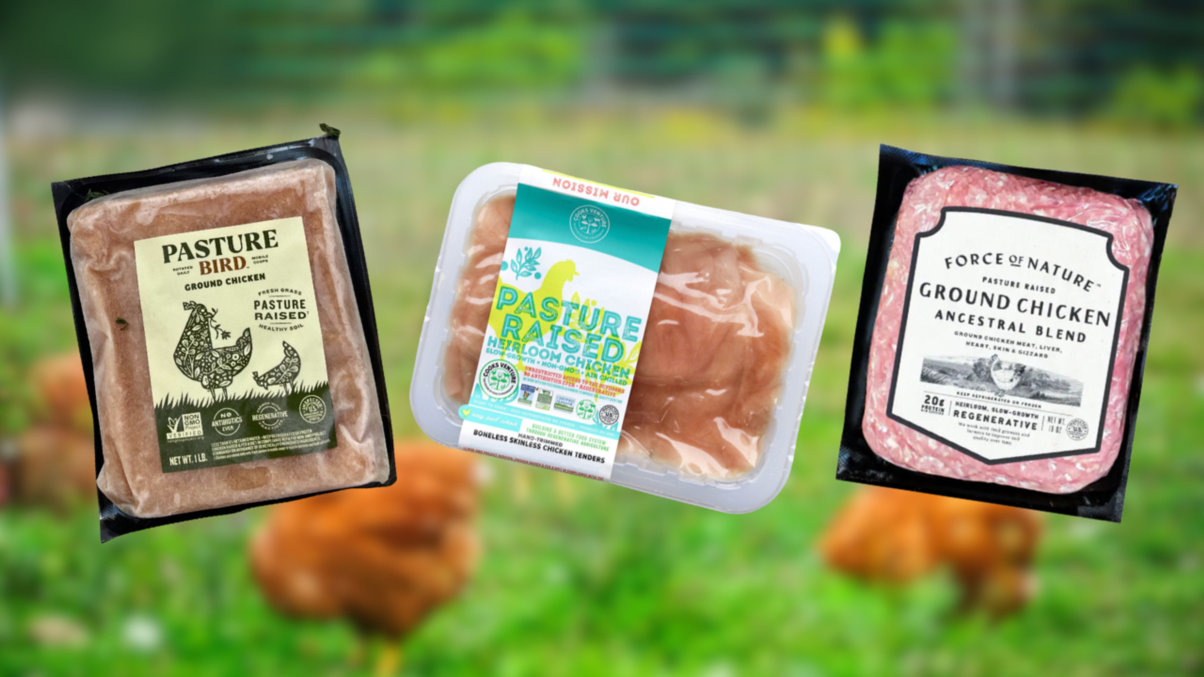 pasture raised chicken brands