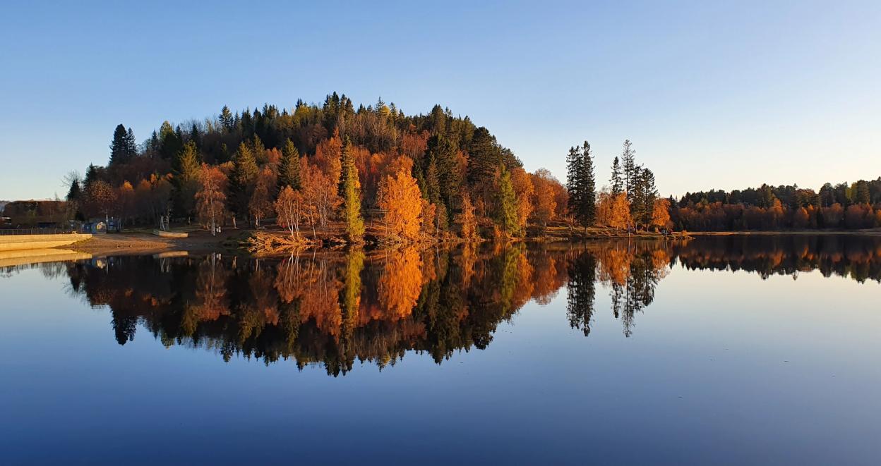 A stunning reflection of autumn foliage on a calm lake, with trees in shades of orange, yellow, and green lining the shore. The clear water perfectly mirrors the landscape, creating a symmetrical and serene view. A small beach area is visible on the left, and the vibrant colors of fall stand out against the crisp blue sky, making for a peaceful and picturesque natural scene.