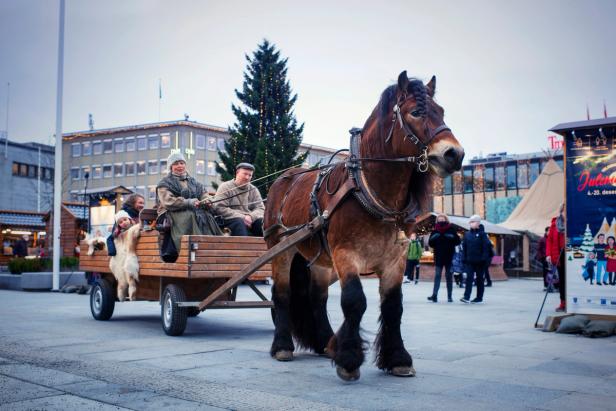 People sitting in a horse-drawn carriage outside Trondheim Torg, at the Christmas market. Trondheim's biggest Christmas tree is in the background