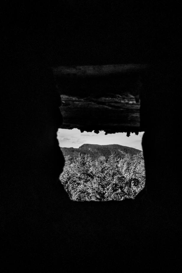 A view of a forest from one of the lookout-holes in Hegra Foretress