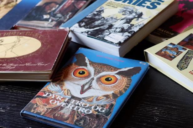 a collection of books on a table. One of the most noticeable books in the foreground features a large illustration of an owl and the Norwegian title Dyr, Tro og Overtro (which translates to "Animals, Belief, and Superstition"). The other books visible are also quite colorful and appear to cover a range of topics, possibly history, literature, or the arts.